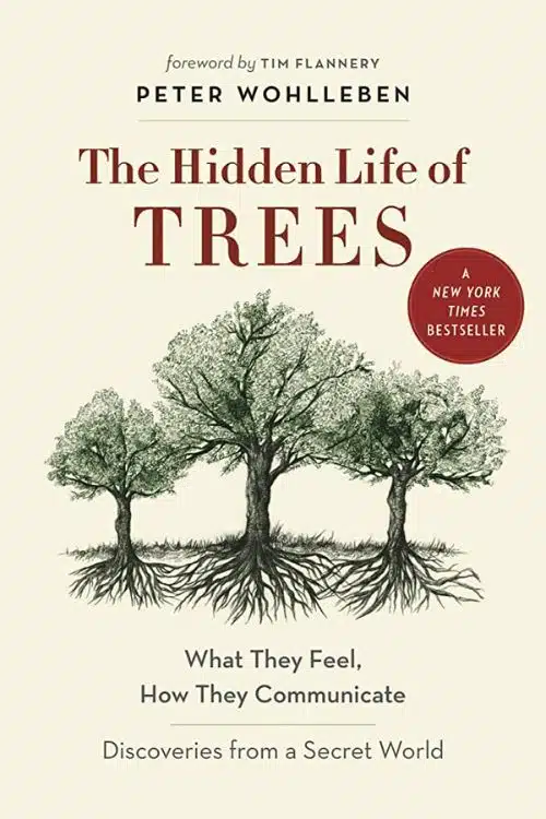 "The Hidden Life of Trees" by Peter Wohlleben