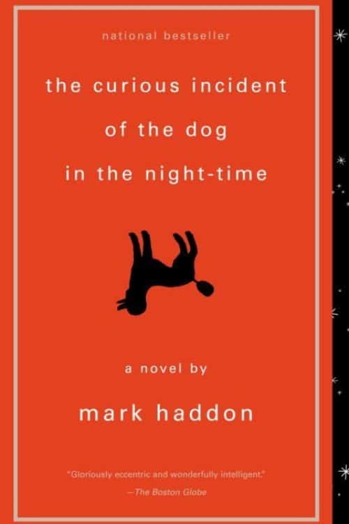 Books Every Teenager Boy Should Read: Our Top 10 Picks - The Curious Incident of the Dog in the Night-Time
