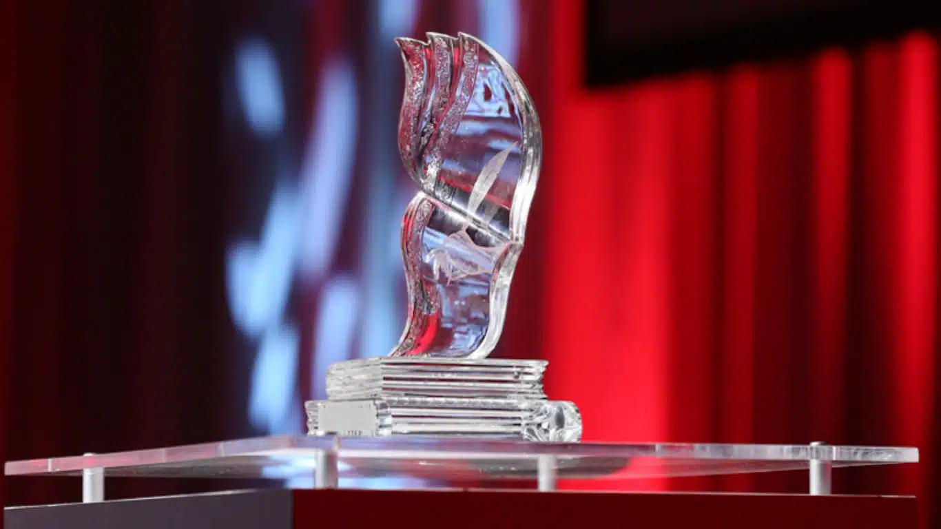 10 Most Prestigious Award For Authors and Writers In The World - International Dublin Literary Award