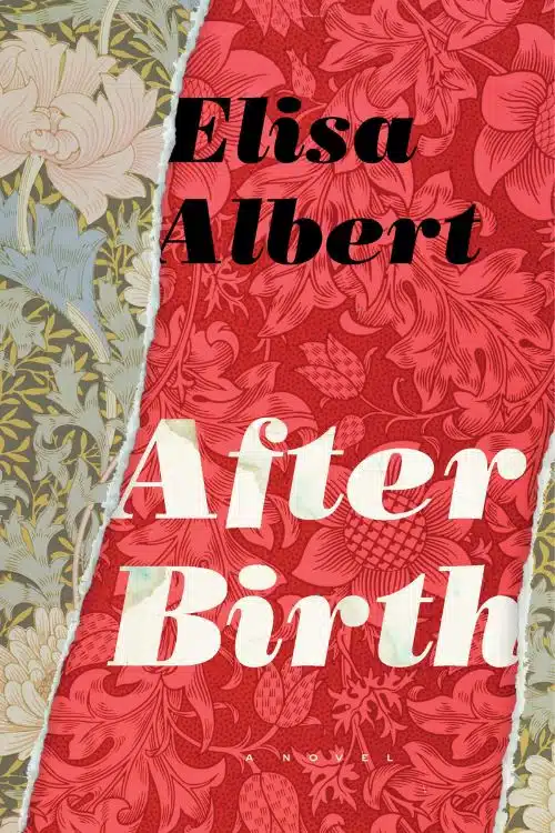 10 Best Books on Motherhood Everyone Should Read - "After Birth" by Elisa Albert