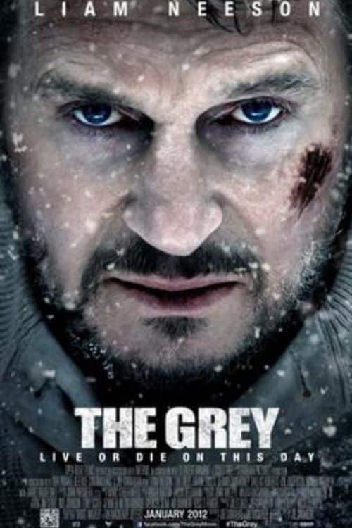 10 Best Survival Movies of All Time - The Grey – 2012