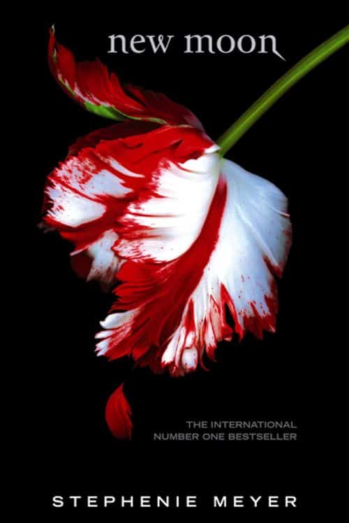 10 Must-Read Books Starting with Letter N - New Moon