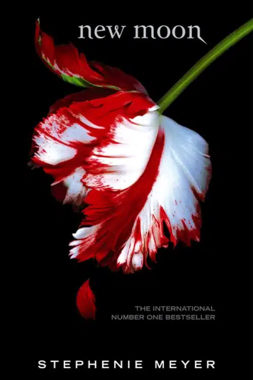 10 Must-Read Books Starting with Letter N - New Moon