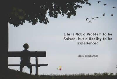 生活不是要解决的问题，而是要经历的现实