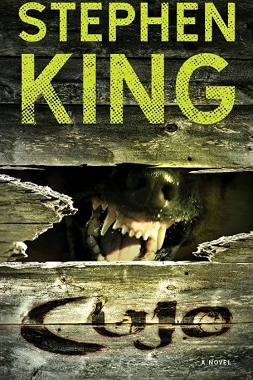 Top 20 Books of Stephen King You Must Read - "Cujo"