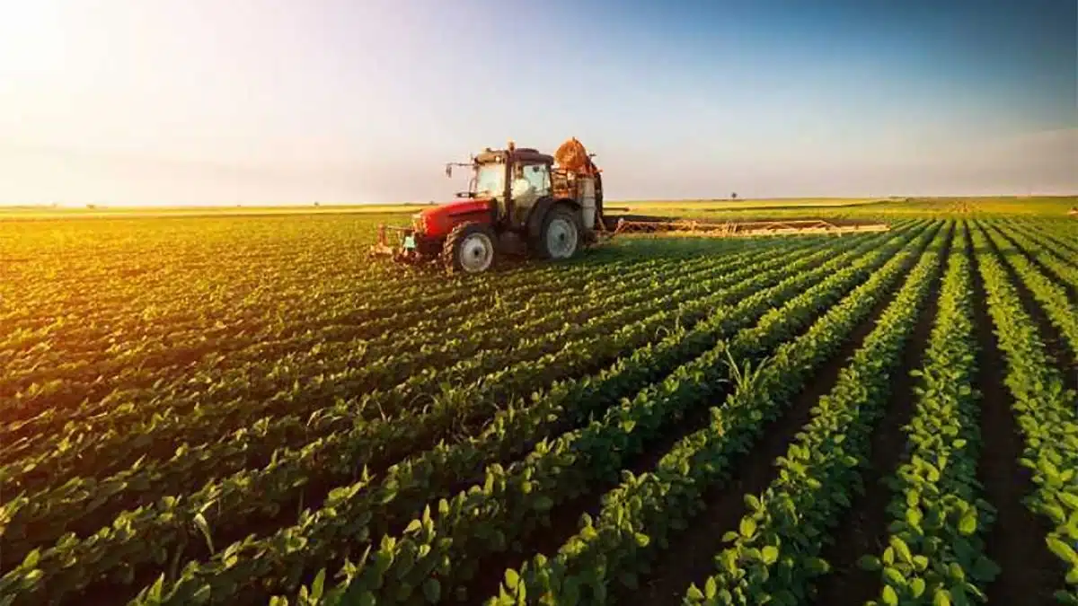 Agriculture and Farming