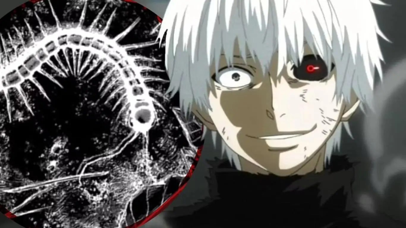 Tokyo Ghoul: Kaneki's torture by Jason