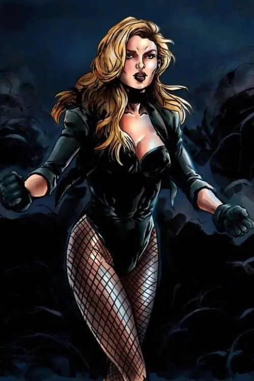 Top 10 Sexiest Female Characters in DC Comics - Black Canary (Dinah Laurel Lance)