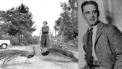 10 Must-Read Authors Whose Name Starts With F