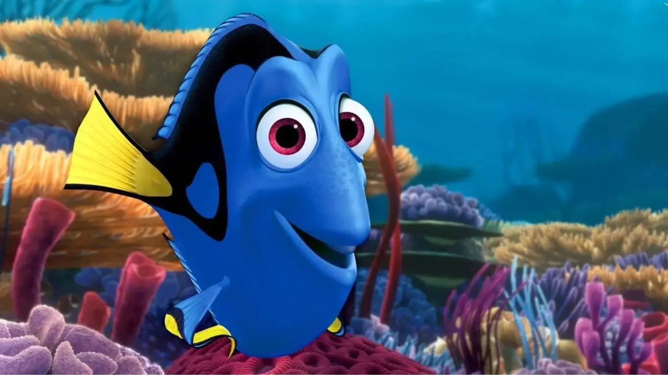 Dory