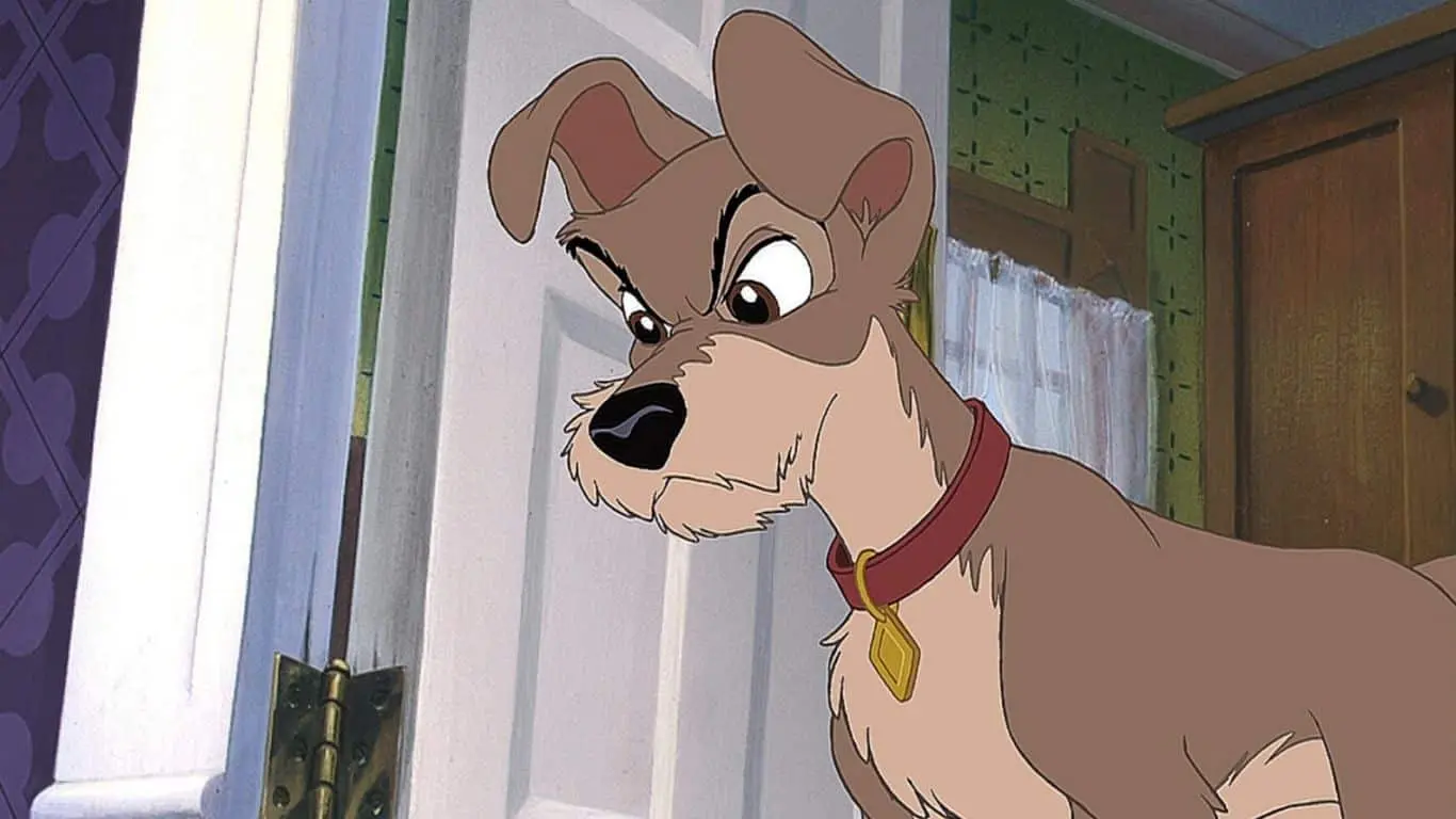 Tramp (Lady and the Tramp)