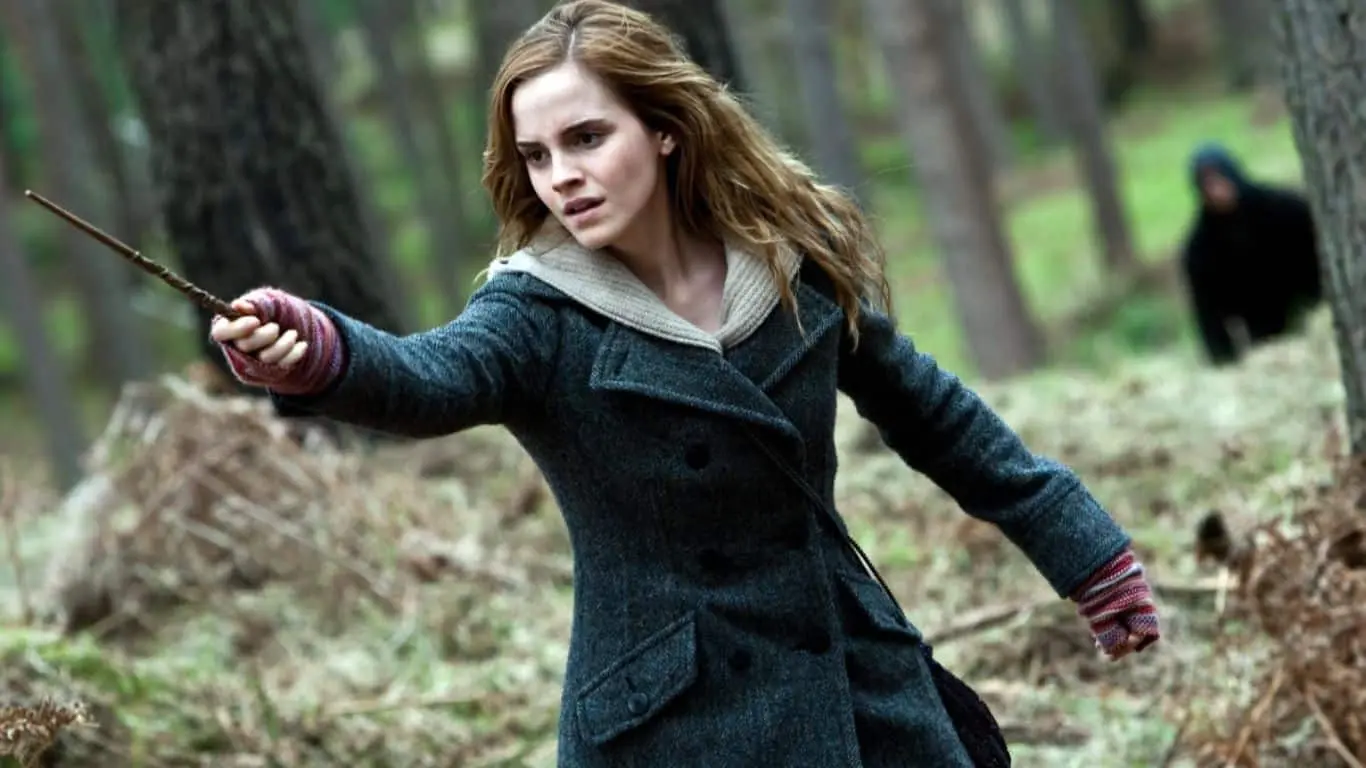 Hermione Granger (Harry Potter series by J.K. Rowling)