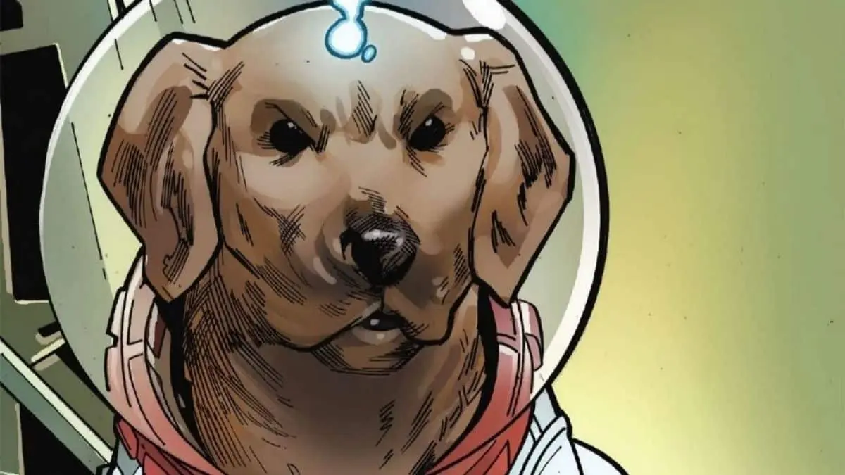 The 15 Coolest Superhero Animals - Cosmo