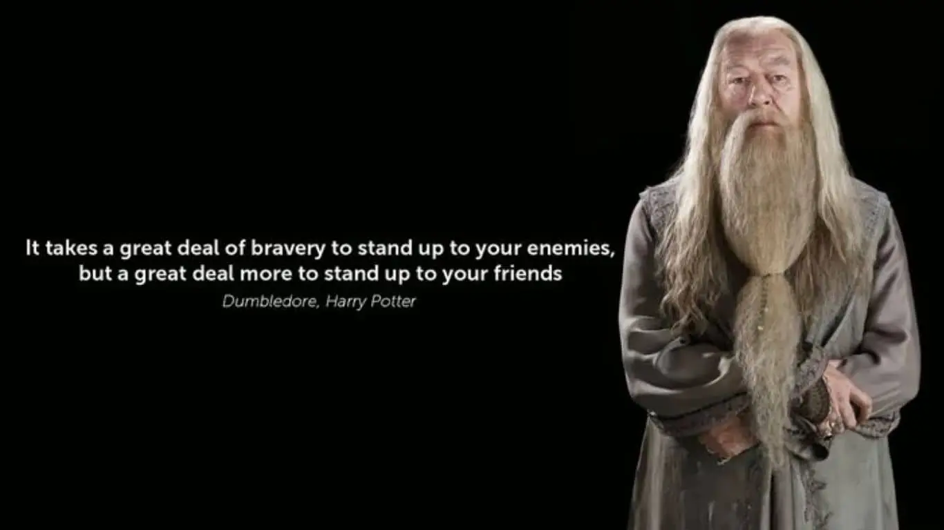 "It takes a great deal of bravery to stand up to our enemies, but just as much to stand up to our friends." - Albus Dumbledore
