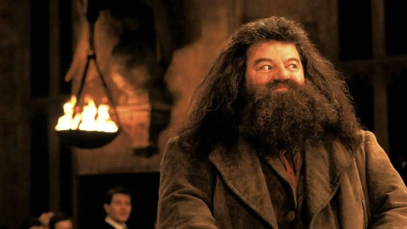 10 Memorable characters from Books Whose Names Begin with 'H' - Hagrid (Harry Potter series by J.K. Rowling)