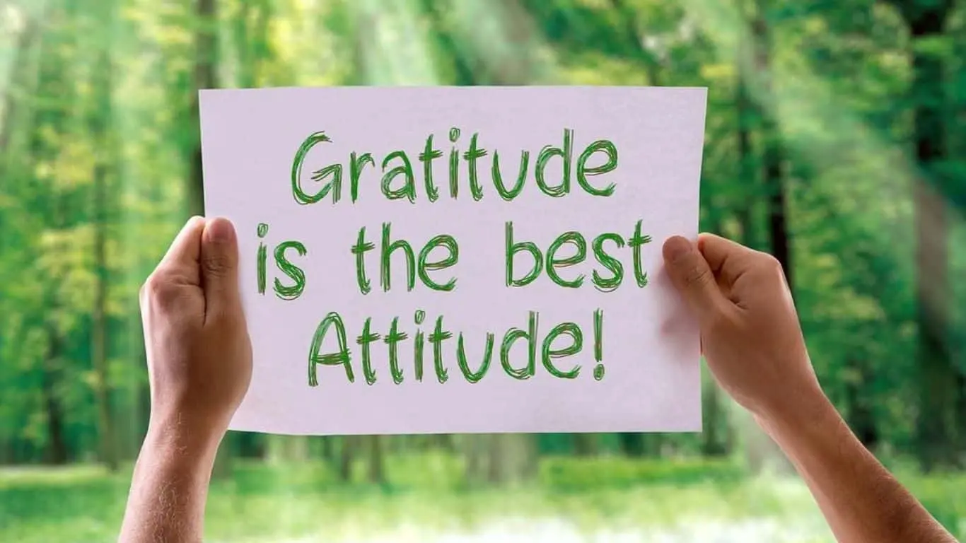 Practice Gratitude Daily