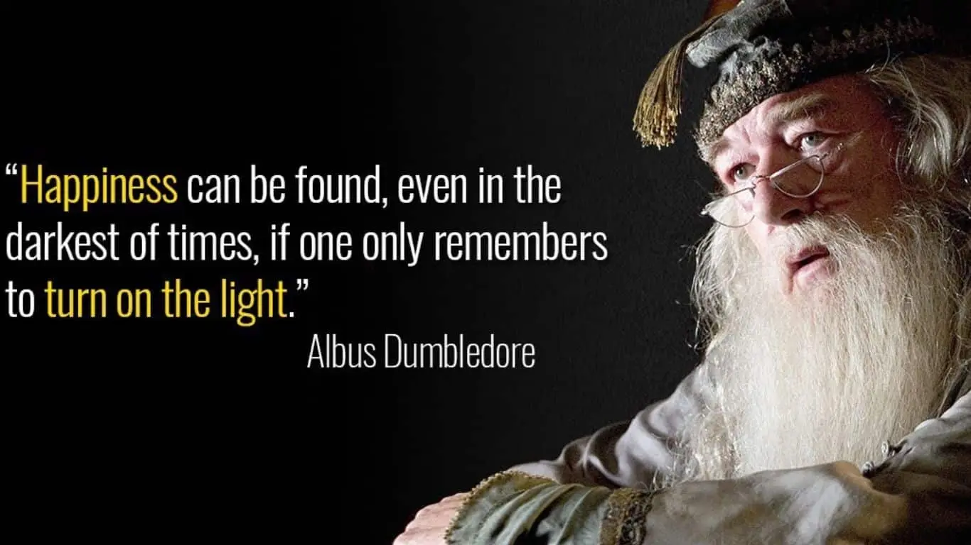 "Happiness can be found even in the darkest of times if one only remembers to turn on the light." - Albus Dumbledore