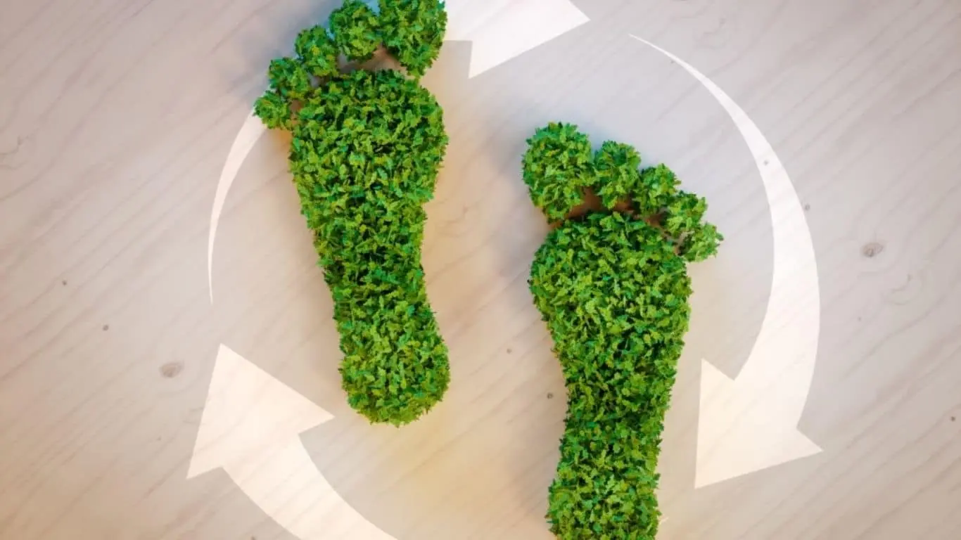 10 New Year's Resolutions You Could Have in the Year 2024 - Reduce Your Environmental Footprint