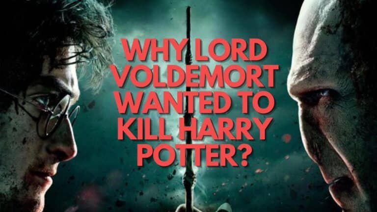 Why Lord Voldemort Wanted To Kill Harry Potter?