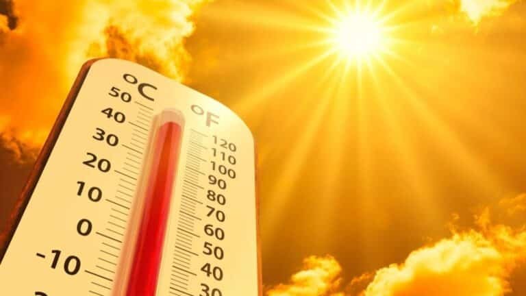 2023 a été l'année la plus chaude selon les enregistrements de données sur la température mondiale, conservés depuis 1850.