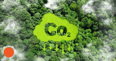 Innovative technology achieves 93% efficiency in converting CO2 to chemicals