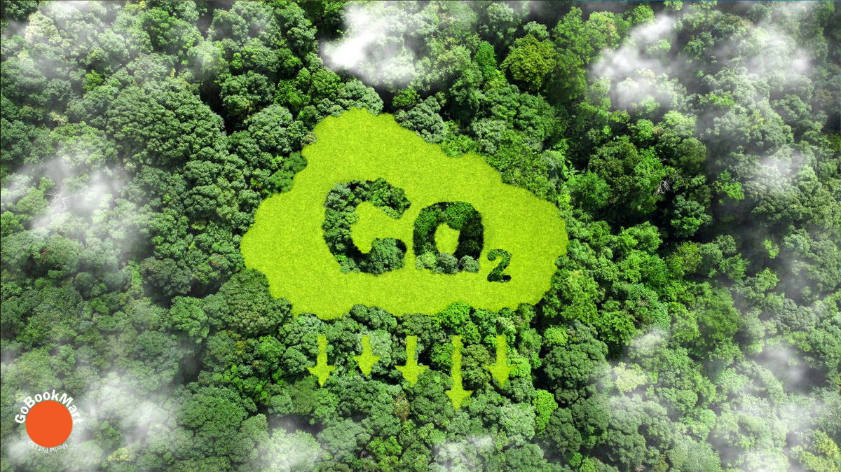 Innovative technology achieves 93% efficiency in converting CO2 to chemicals