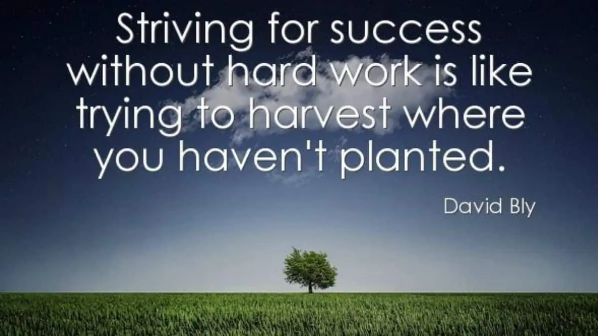 Striving for success without hard work is like trying to harvest where you haven’t planted