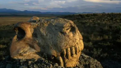 All The Extinction Events Occurred on Earth Since The Origin