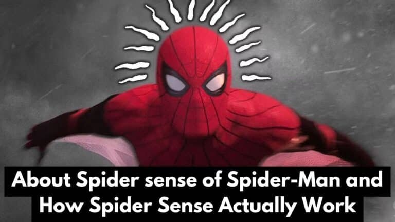 About Spider sense of Spider-Man and How Spider Sense Actually Work