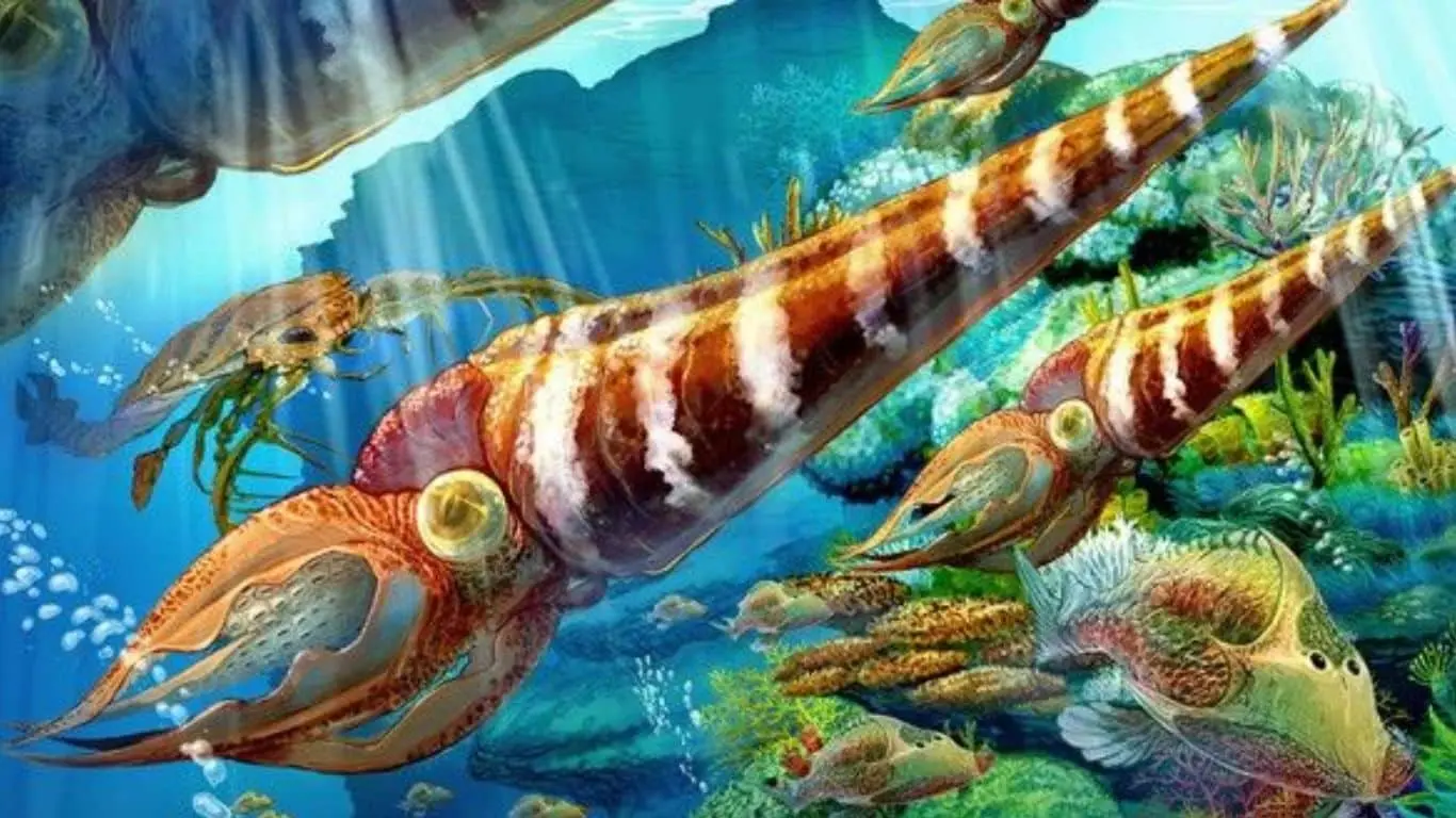 All The Extinction Events Occurred on Earth Since The Origin - The Ordovician-Silurian Extinction