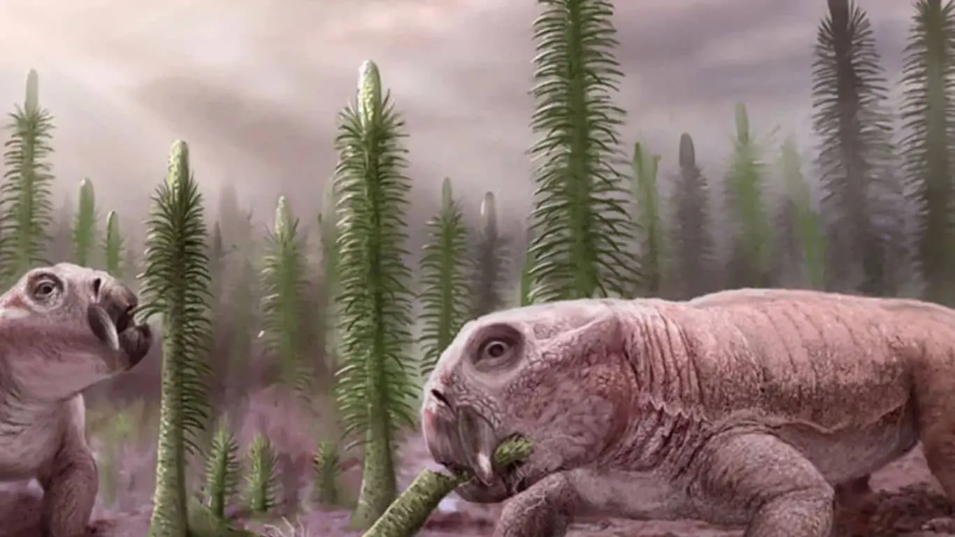 All The Extinction Events Occurred on Earth Since The Origin - The Permian-Triassic Extinction