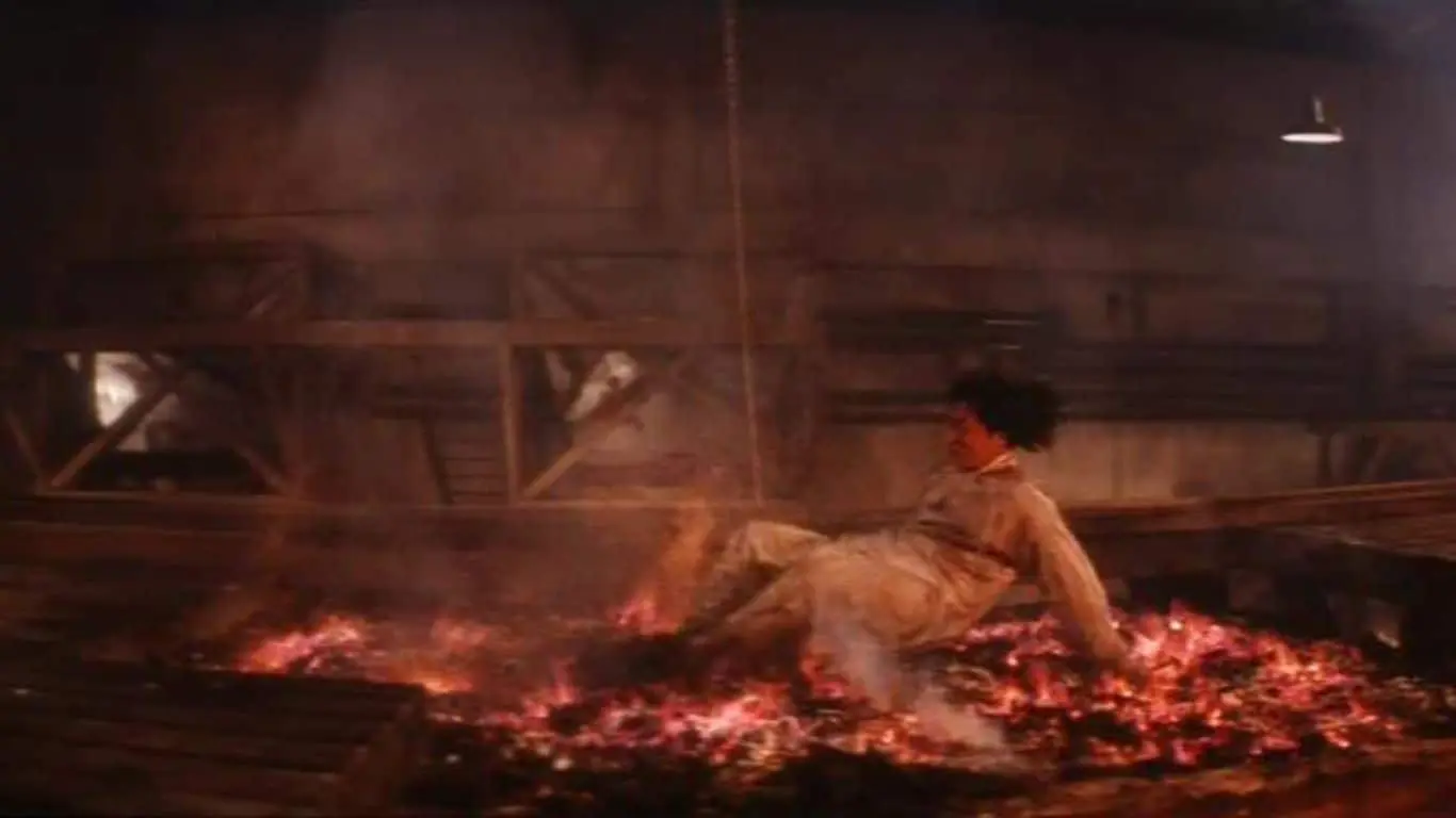 Legend of the Drunken Master (1994)
