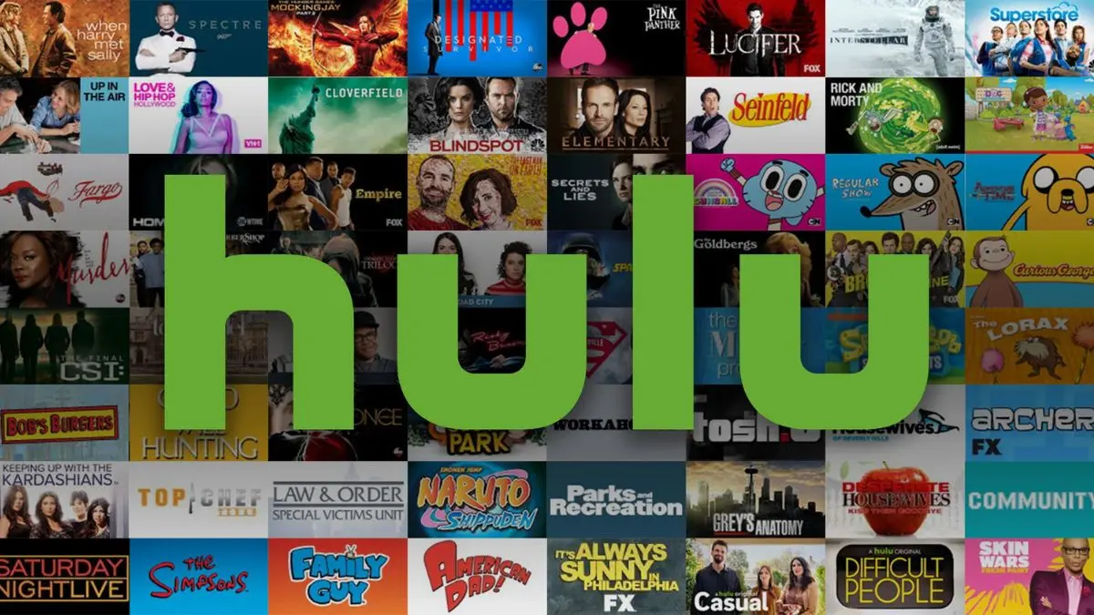 10 Best Digital Subscriptions For Entertainment Purpose - Hulu (48.5 million)