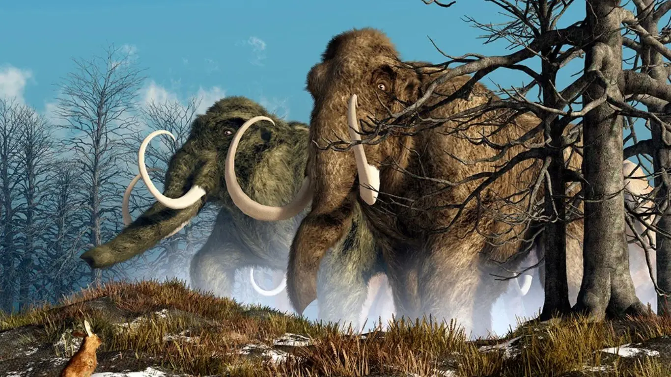 The Quaternary Extinctions