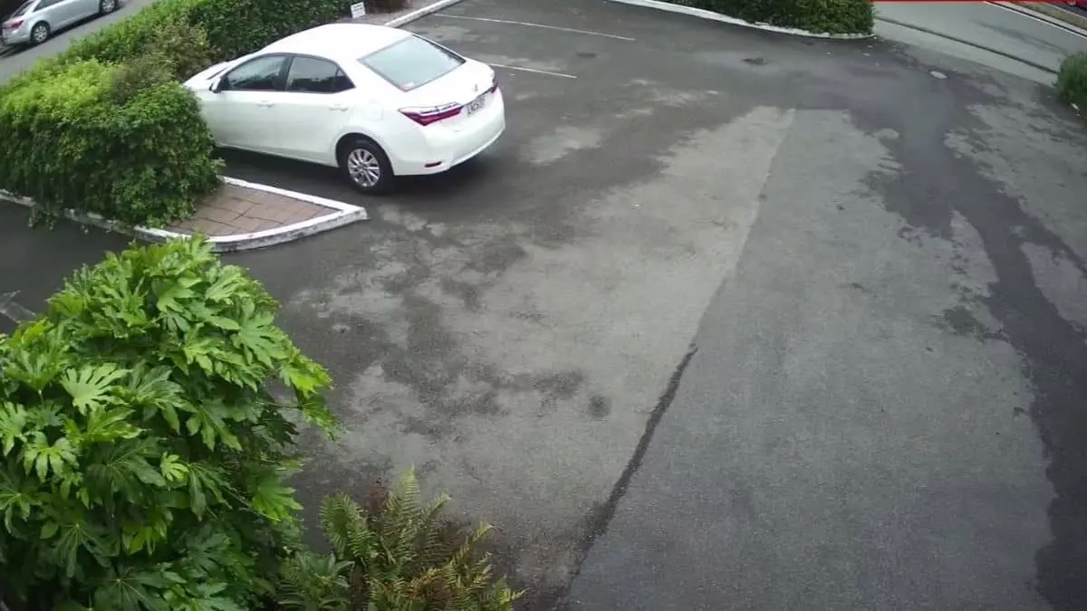 Major Historical Events on March 17- Today in History - 2019 - Christchurch Video Removal