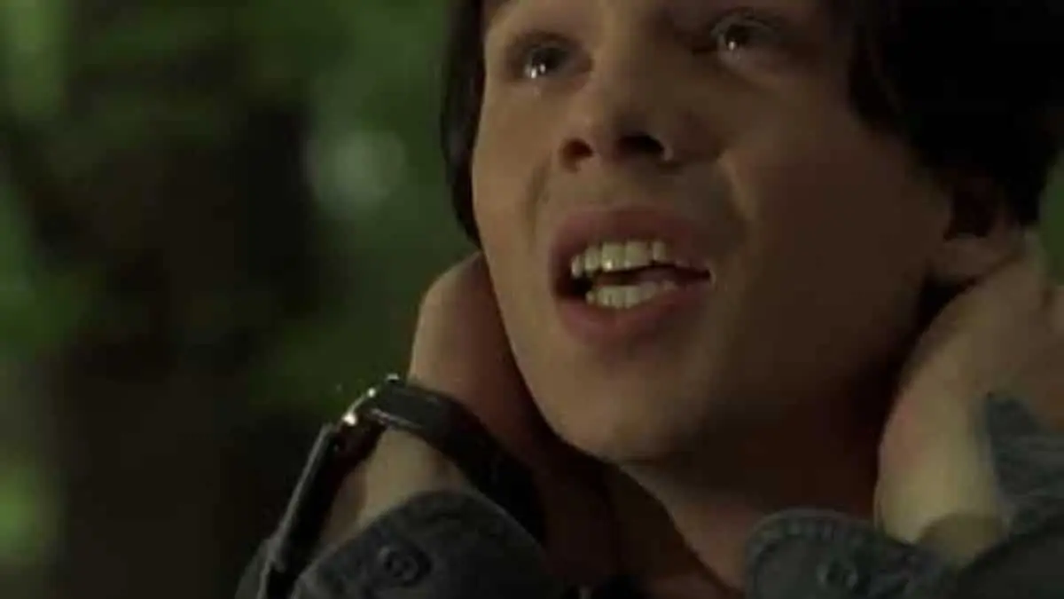 Tobias, from the Animorphs series by KA Applegate