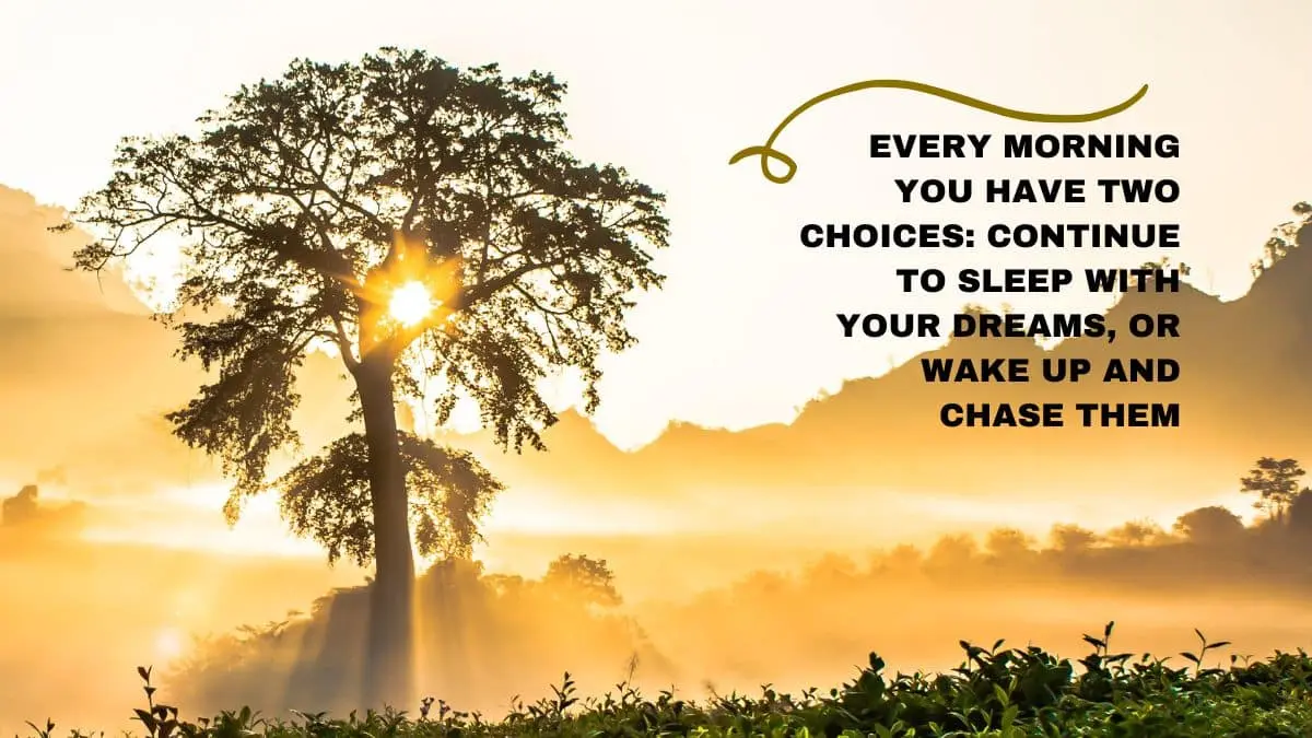 Every morning you have two choices: continue to sleep with your dreams, or wake up and chase them