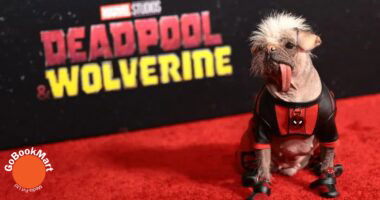 Dogpool: From 'Britain's Ugliest Dog' to the Spotlight in 'Deadpool & Wolverine