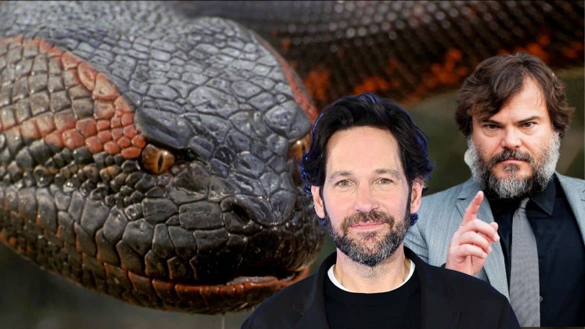 Anaconda Reboot in Development with Jack Black and Paul Rudd in Talks for Leading Roles