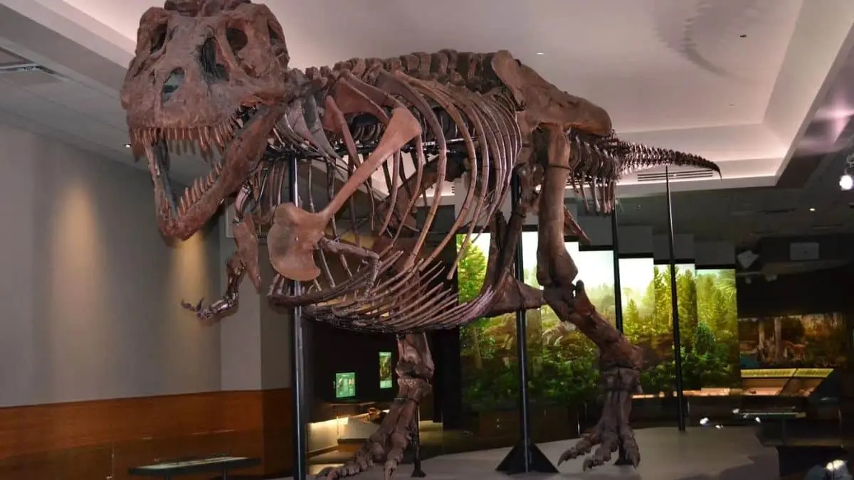 Sue the T. Rex: A Prehistoric Discovery - 1990 AD