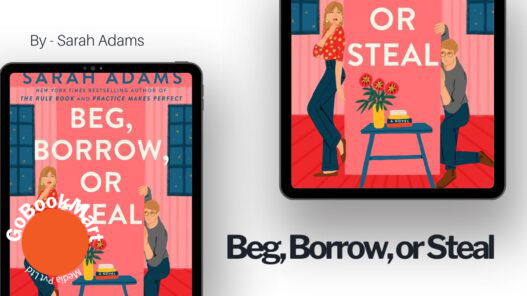 Beg, Borrow, or Steal: By Sarah Adams (Book Review)