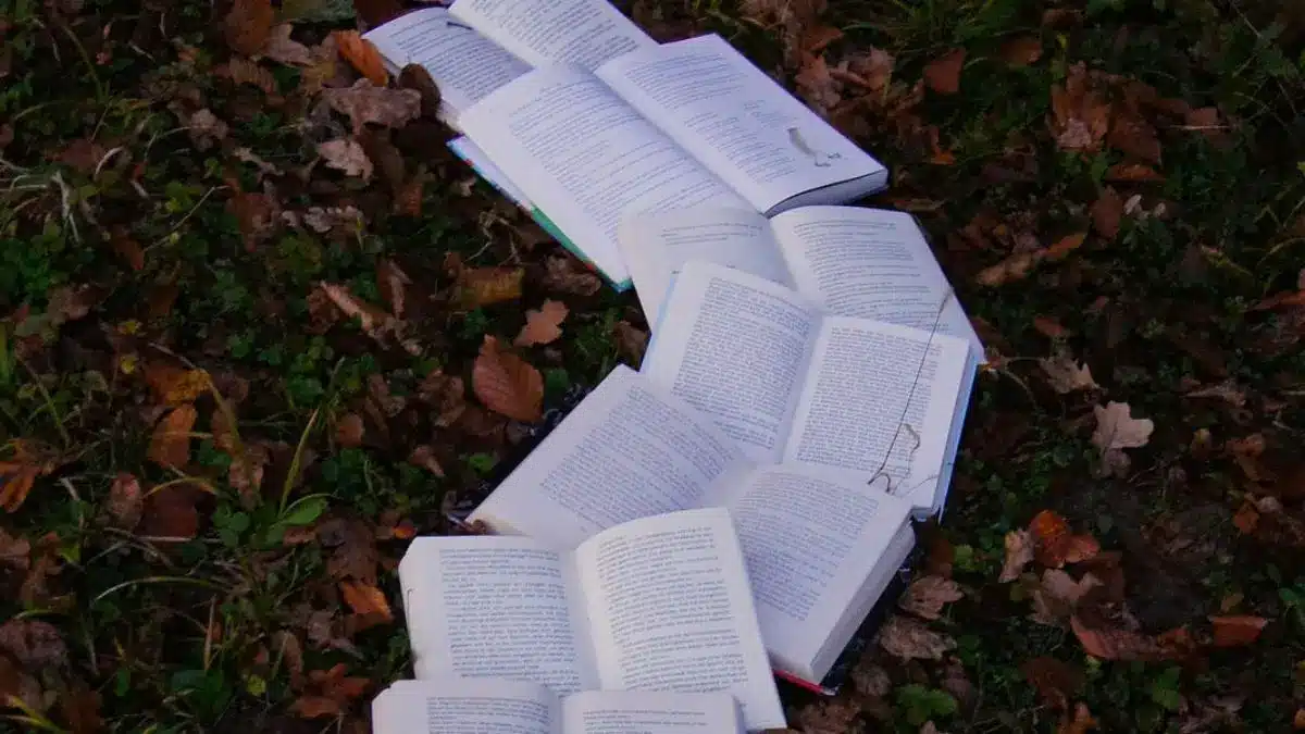 Serialized Fiction vs. Full-Length Novels: What Do Readers Prefer?