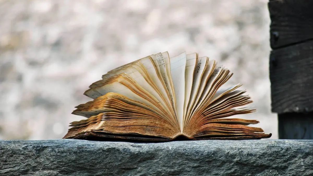 Opening Lines vs. Cliffhanger Endings: What Makes a Story Unforgettable?