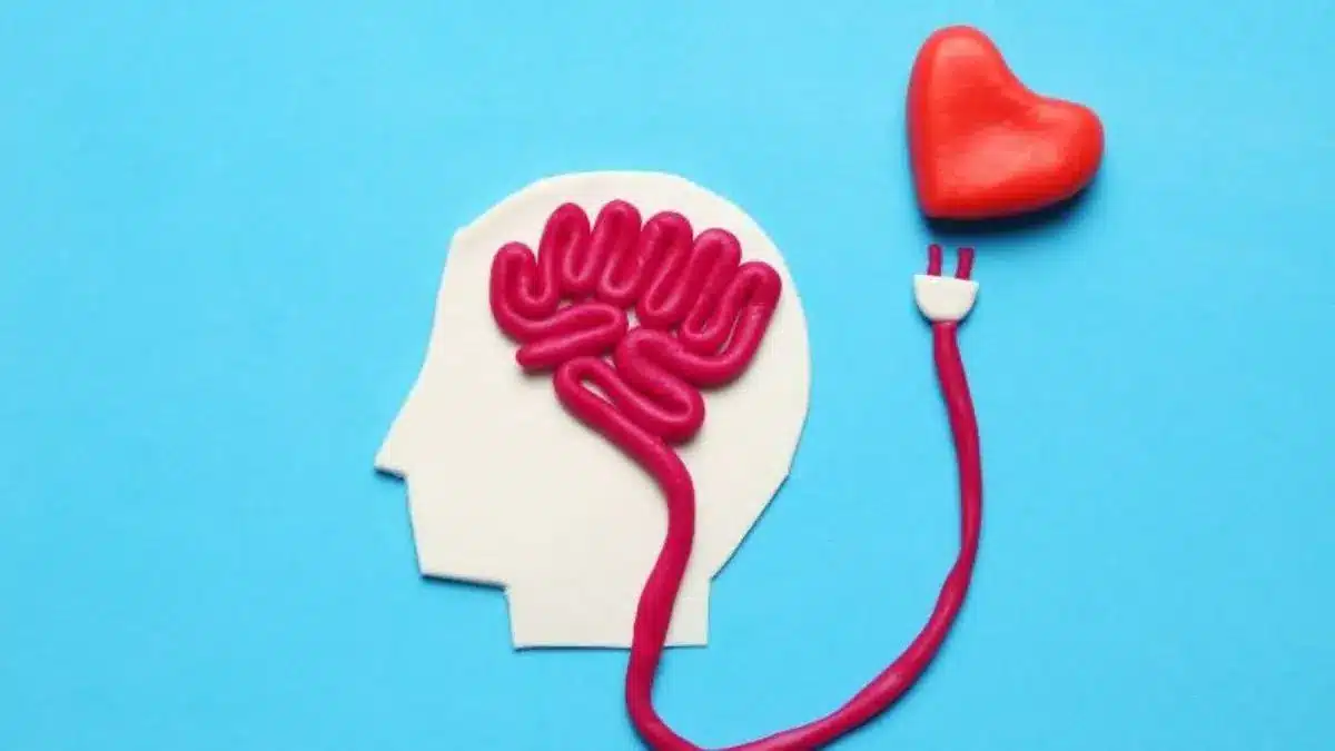The Brain in Love What Neuroscience Says About Infatuation, Attachment, and Heartbreak