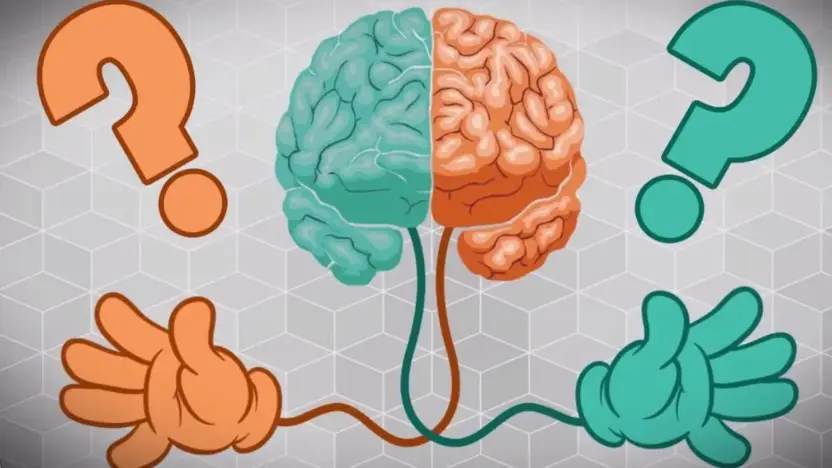 Why Are Some People Left-Handed? The Evolutionary Mystery Explained