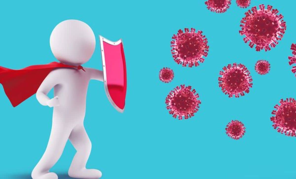 How the Immune System Saves Your Life Every Day (3)