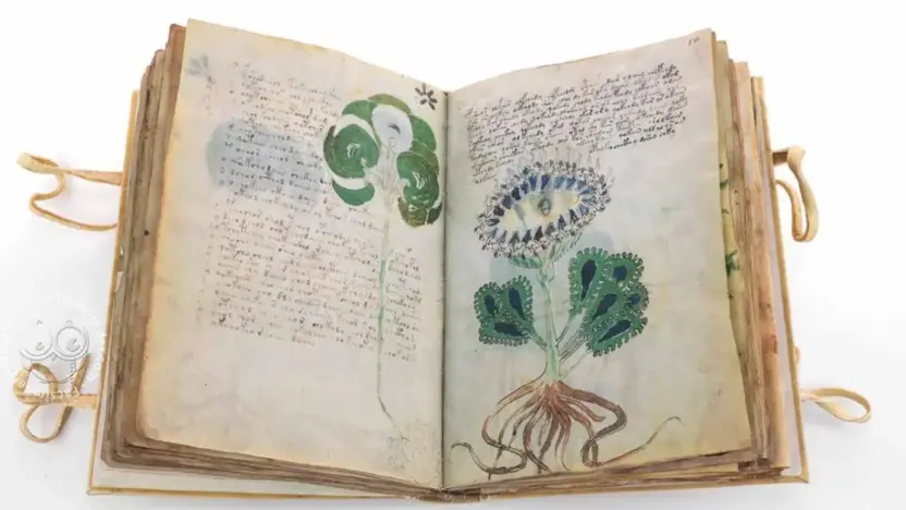 Voynich Manuscript: A Mysterious Book No One Can Read