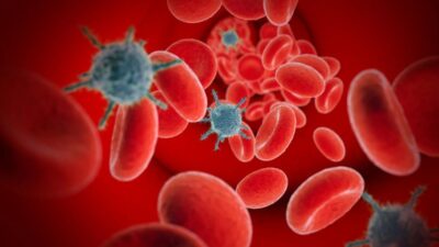 What Happens When a Virus Enters Your Body?