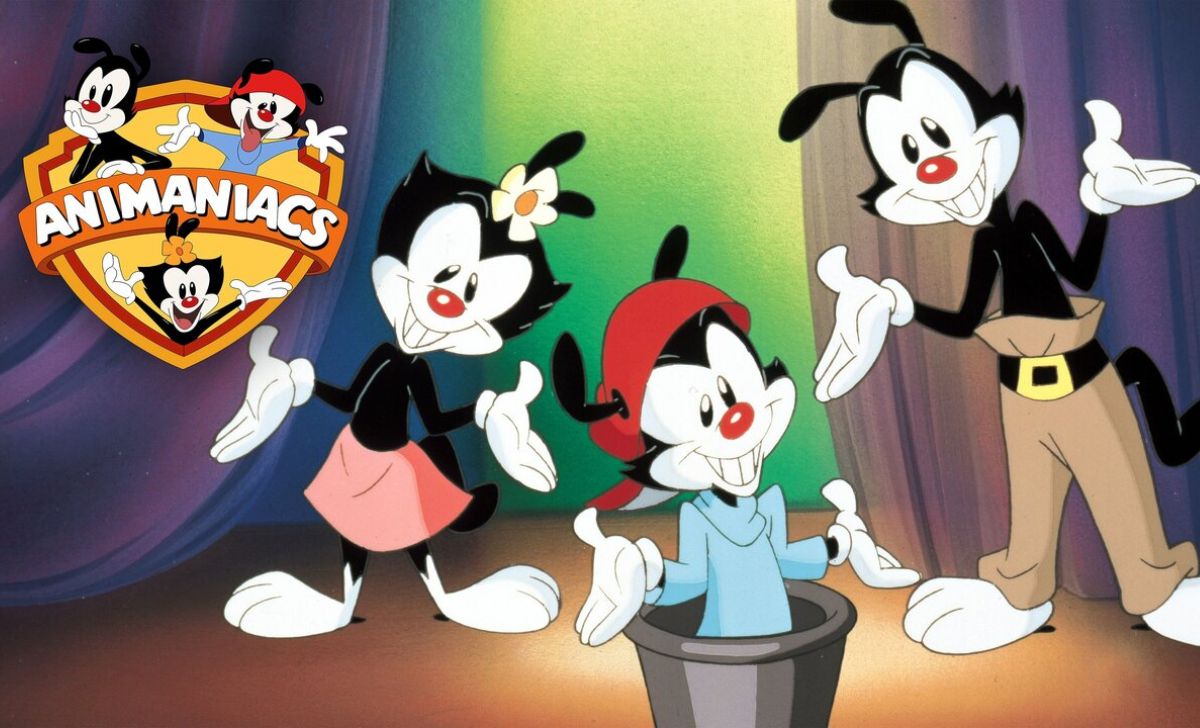 Animaniacs (1993) - The Greatest 1990s Cartoons