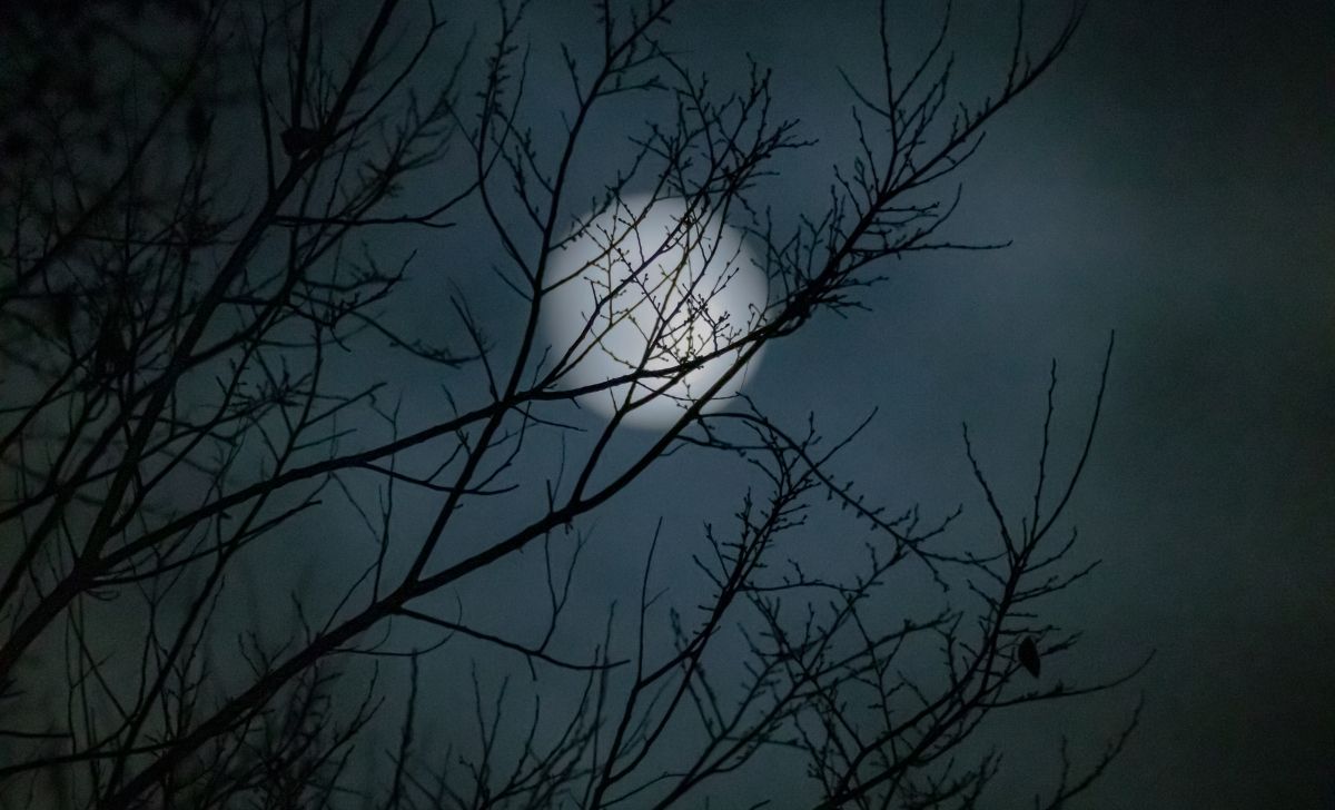 How to Add Suspense to Your Writing